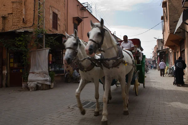 Carruaje de caballo —  Fotos de Stock