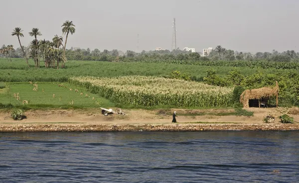Nil köylüler — Stok fotoğraf