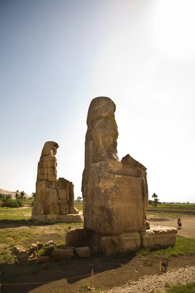 Memnon portre colossi — Stok fotoğraf