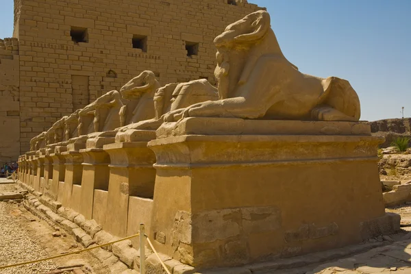 Avenida Esfinge no Templo de Karnak — Fotografia de Stock