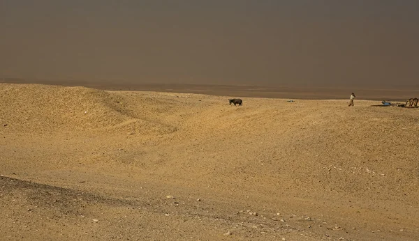 O deserto chamando — Fotografia de Stock