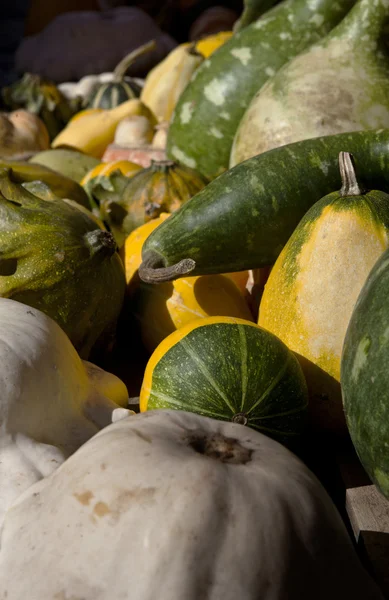 Pumpkin stall — Stock Photo, Image