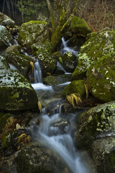 Groene rivier — Stockfoto