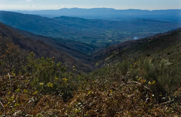 Valle de San Martín — Foto de Stock