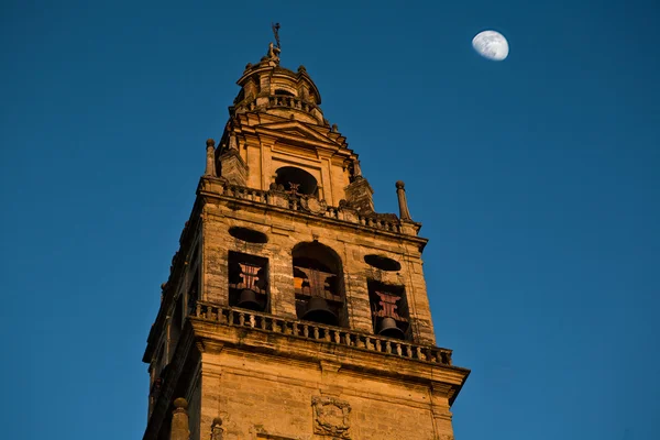 Campanario de Córdoba y luna — Foto de Stock