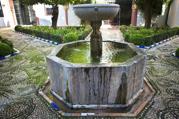 Pátio típico andaluz — Fotografia de Stock