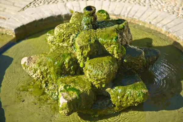 Fuente verde — Foto de Stock