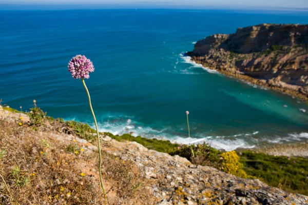 Paisagem do Cabo Espichel — Fotografia de Stock