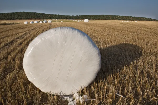 Platteland veld met Baal hooi verpakt in plastic — Stockfoto