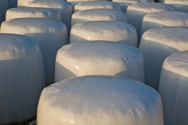 Weiße Plastikfolie für Getreideballen — Stockfoto
