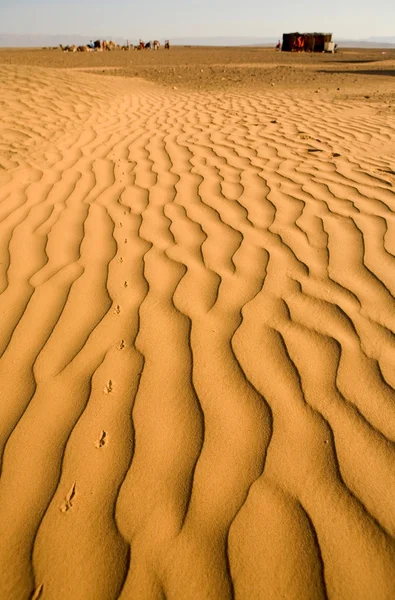 Pegada no deserto — Fotografia de Stock