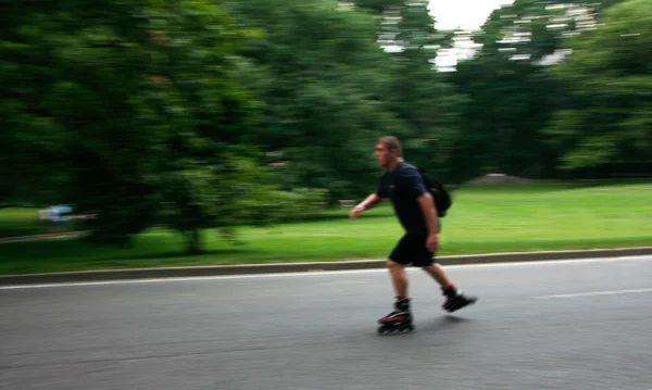 Rolo no Central Park — Fotografia de Stock