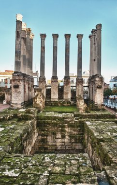 Roma Tapınağı'nın ören
