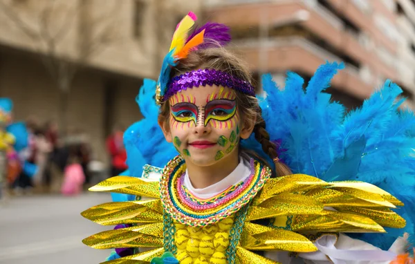 Regenwoud kleuren — Stockfoto