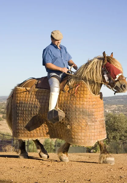 Opwarming van de aarde de lancer paard — Stockfoto