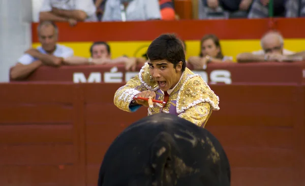 Just before killing the bull — Stock Photo, Image