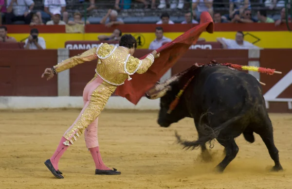 Curro Díaz — Foto de Stock