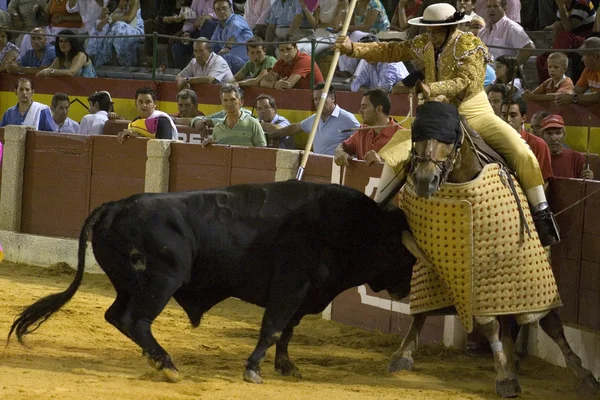 El toro empuja violentamente al caballo lancero —  Fotos de Stock