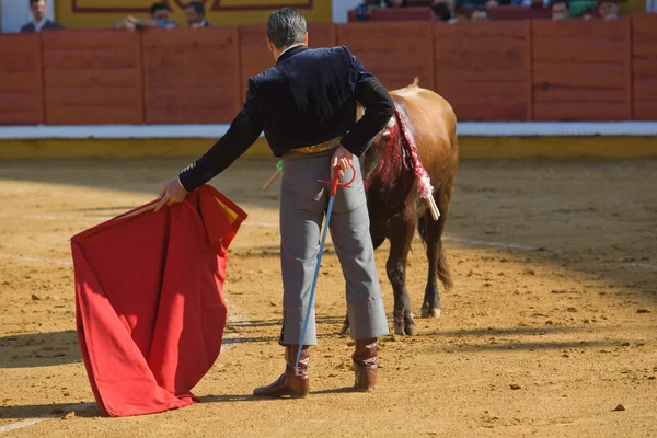 Esperando al toro —  Fotos de Stock