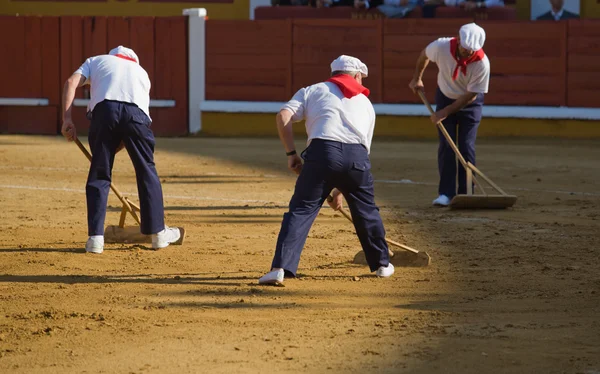 Raking the alvero — Stock Photo, Image