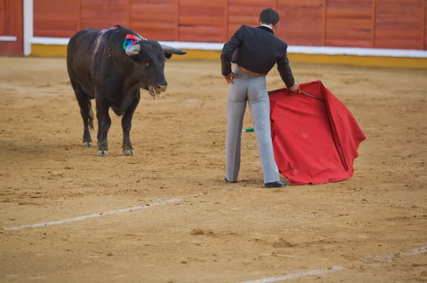 Corridas de toros — Foto de Stock