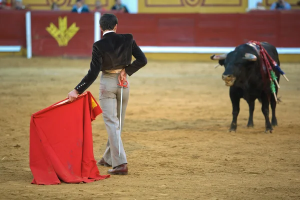 Matador — Stock Photo, Image