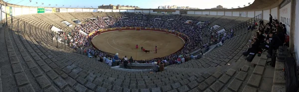 De la tribuna de la banda de música —  Fotos de Stock