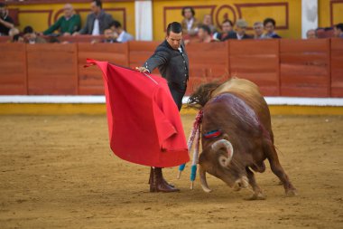 muleta ile İspanyol Boğa güreşçisi 