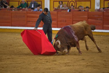İspanyol Boğa güreşçisi 