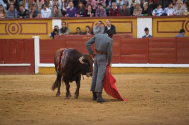 İspanyol torero miguel angel perera
