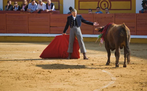 Vieni qui. — Foto Stock