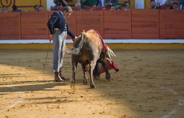 Bullfighting in spain — Stock Photo, Image