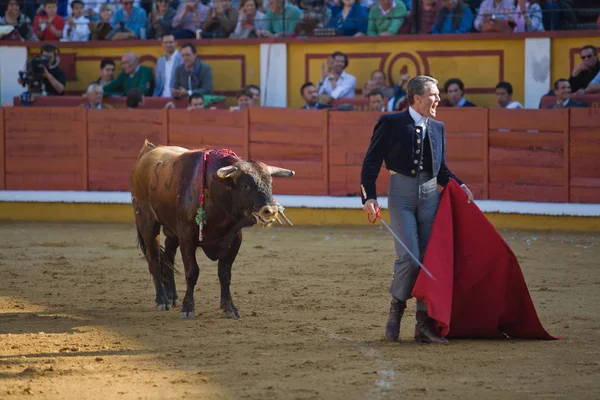Torero and bull in bullfight — Stock Photo, Image