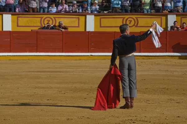 Saludos. — Foto de Stock