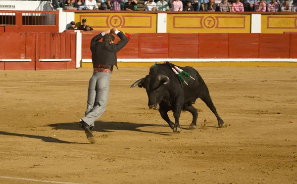 Banderillero skoky — Stock fotografie