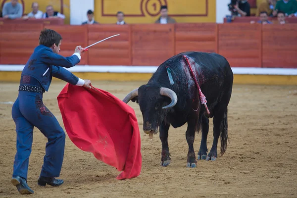 Momento estroco — Fotografia de Stock