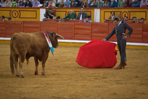 Corrida Bullfighting — Stock Photo, Image