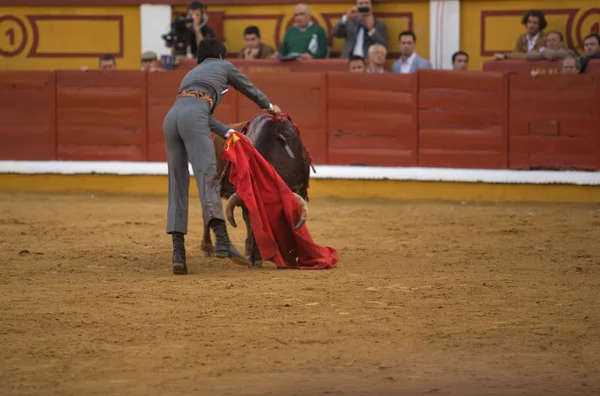 Muerte tercera —  Fotos de Stock