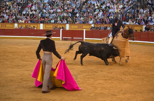 Torero et lance sur le ring — Photo