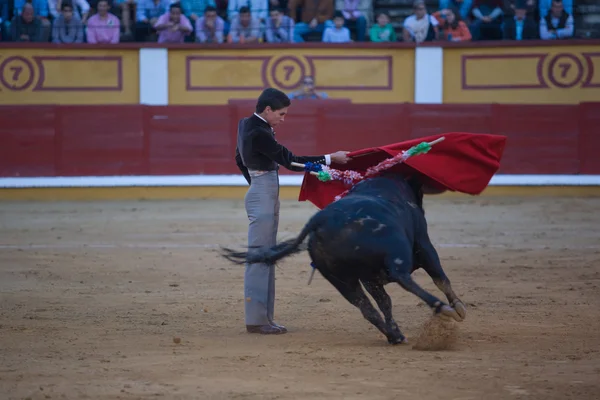 Il torero Gines Marin — Foto Stock