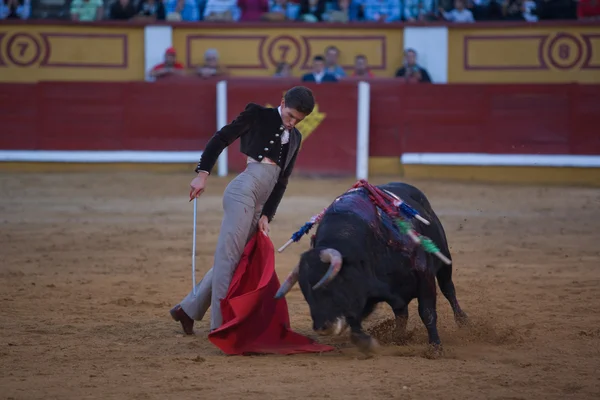 Matador — Stock Photo, Image