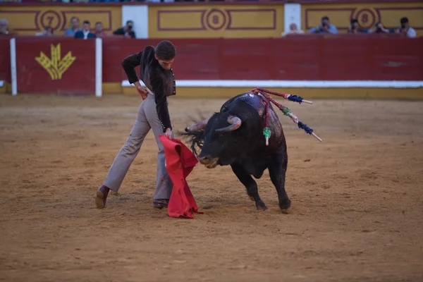 Corrida tjurfäktning i Spanien — Stockfoto