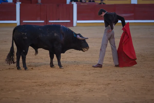 Hiszpański matador — Zdjęcie stockowe