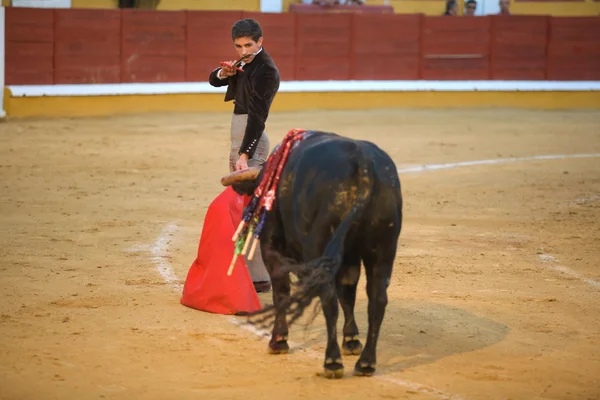 Torero con estocco — Foto Stock