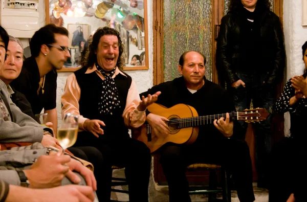 Cantante flamenco — Foto de Stock