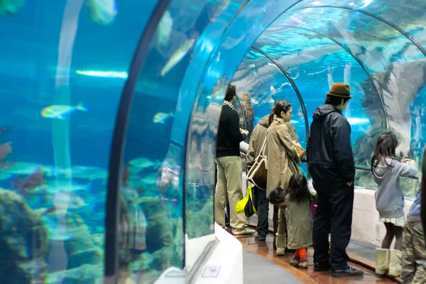 Unterwassertunnel — Stockfoto