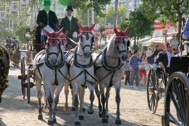 seville sokaklarında taşıma
