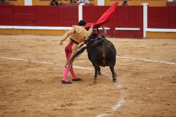 Torero σε δράση — Φωτογραφία Αρχείου