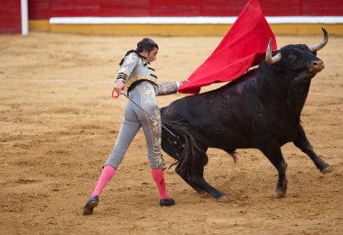 Passess of the bullfighter Israel Lancho clipart