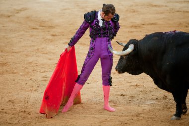 The barefoot bullfighter clipart